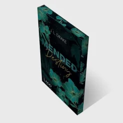 LAGO Romantic Suspense-Mended Destiny