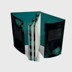 LAGO Romantic Suspense-Mended Destiny