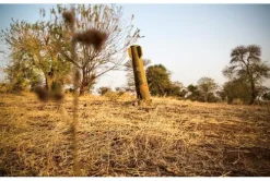 Suhrkamp Verlag Kunst & Architektur*Menschlichkeit in Zeiten der Angst