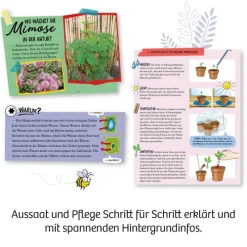 Mimosen-Garten*Franckh-Kosmos Clearance