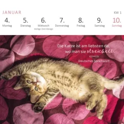Ars Edition GmbH Geburtstagskalender-Mini-Wochenkalender Katzenweisheiten 2027