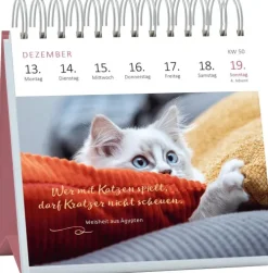 Ars Edition GmbH Geburtstagskalender-Mini-Wochenkalender Katzenweisheiten 2027