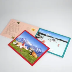 riva Verlag Postkarten*Mit dem Wichtel durchs Jahr