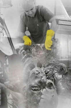 Mit kalter Präzision*Knaur Taschenbuch Best