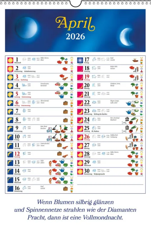 Ludwig bei Heyne Wandkalender|Posterkalender*Mondleben 2026