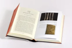 Goldmann Verlag Geschichte|Geschichte*Money