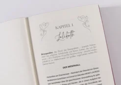 Mont Lacroix (Band 1) - Longing for Lelibeth*Loewe Verlag GmbH Clearance