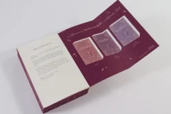 Mont Lacroix (Band 1) - Longing for Lelibeth*Loewe Verlag GmbH Clearance