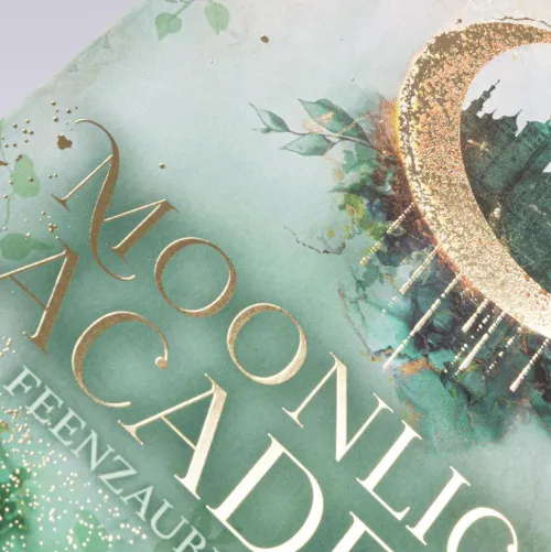 Carlsen Verlag GmbH Young Adult|Liebesromane-Moonlight Academy. Feenzauber