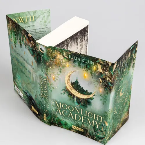 Carlsen Verlag GmbH Young Adult|Liebesromane-Moonlight Academy. Feenzauber