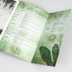 Carlsen Verlag GmbH Young Adult|Liebesromane-Moonlight Academy. Feenzauber