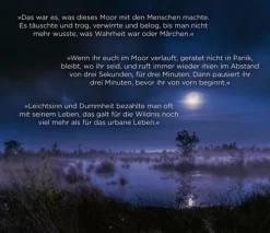 Knaur Taschenbuch Krimis & Thriller|Psychothriller*Moorland. Die Zwillinge