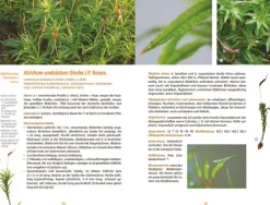 Haupt Verlag AG Biologie*Moose des Waldbodens