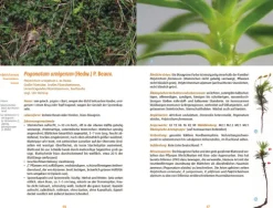 Haupt Verlag AG Biologie*Moose des Waldbodens