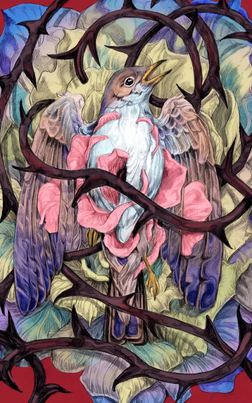 Märchen*Insel Verlag GmbH Outlet