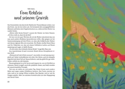 Dorling Kindersley Märchen & Sagen*Märchenland für alle