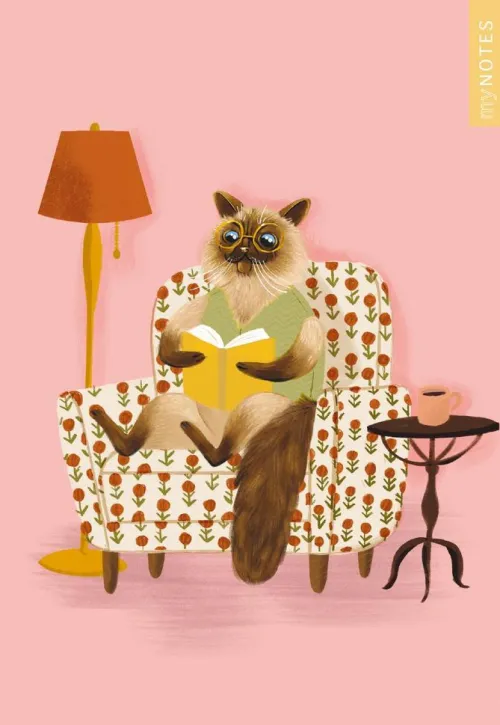 myNOTES Papeterie: Notizheft Katzen regieren die Welt - Lesekatze*Ars Edition GmbH Sale