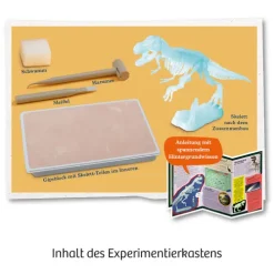 Franckh-Kosmos Forschen & Entdecken-Nachtleuchtender T-REX