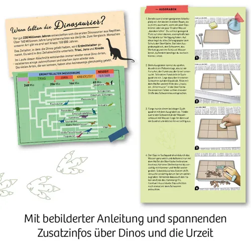 Franckh-Kosmos Forschen & Entdecken-Nachtleuchtender T-REX