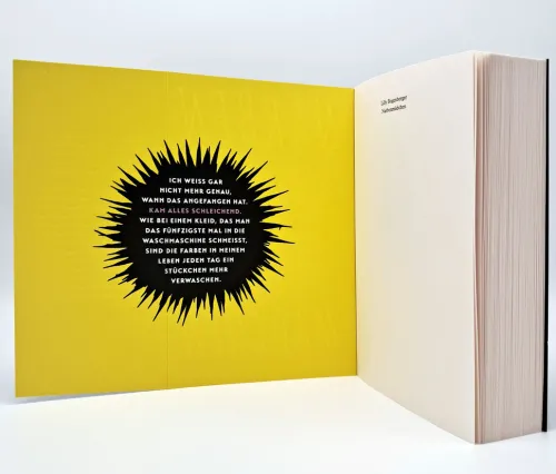 dtv Verlagsgesellschaft Young Adult*Narbenmädchen