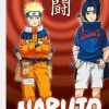 Carlsen Verlag GmbH Artbooks & Handbücher*Naruto - Die Schriften des To (Neuedition)