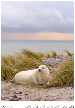 Natur Wochenkalender 2026*Ackermann Kunstverlag Online