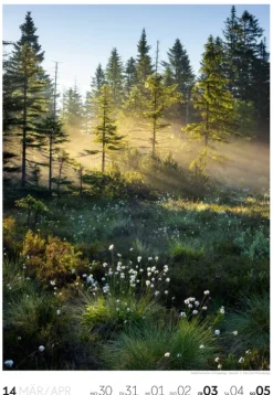 Natur Wochenkalender 2026*Ackermann Kunstverlag Online