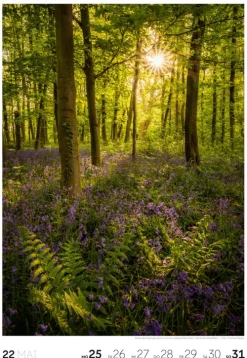 Natur Wochenkalender 2026*Ackermann Kunstverlag Online