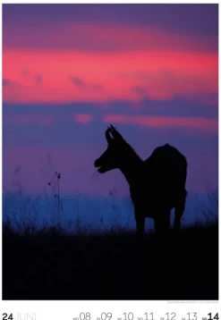 Natur Wochenkalender 2026*Ackermann Kunstverlag Online