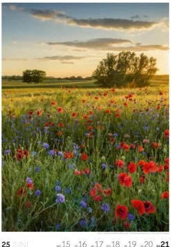 Natur Wochenkalender 2026*Ackermann Kunstverlag Online