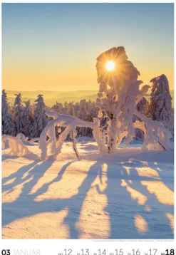 Natur Wochenkalender 2026*Ackermann Kunstverlag Online