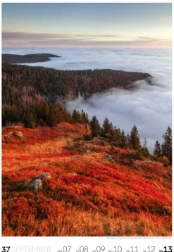 Natur Wochenkalender 2026*Ackermann Kunstverlag Online