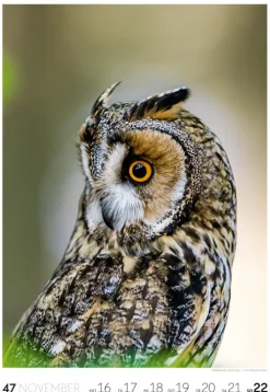 Natur Wochenkalender 2026*Ackermann Kunstverlag Online