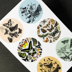 Pepin Press B.V. Klebstoff & Klebebänder*Natural History - Labels, Stickers & Tape