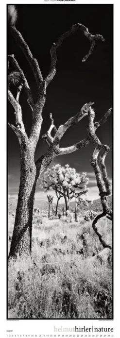 Edition Panorama GmbH Immerwährender Kalender*Nature