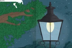 Ars Edition GmbH Stickerhefte-Naturforscher-Kids - Stickerheft Insekten