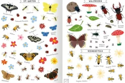 Ars Edition GmbH Stickerhefte-Naturforscher-Kids - Stickerheft Insekten