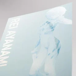 Carlsen Verlag GmbH Science Fiction*Neon Genesis Evangelion - Perfect Edition 2