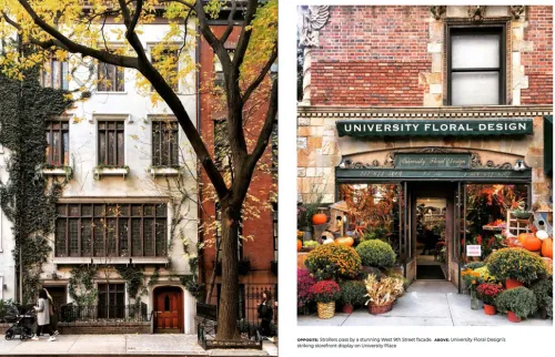 Midas Collection Reiseberichte*NEW YORK - Wie es keiner kennt