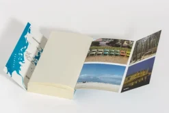 Blanvalet Taschenbuchverl Thriller|Weibliche Ermittler*Nordlicht - Das fremde Gesicht