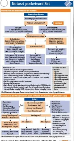 Boerm Bruckmeier Medizin-Notarzt pocketcard Set