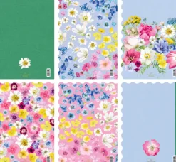 Coppenrath Notizbücher & -Blöcke-Notizhefte DIN A5