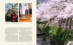 Gestalten Reisen, Orte & Menschen|Architektur & Wohnen-Onsen and Ryokan of Japan