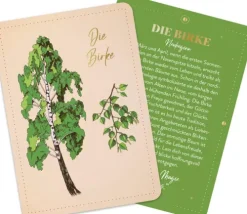 Groh Verlag Weisheiten-Orakelkarten: Die verborgene Kraft der Bäume
