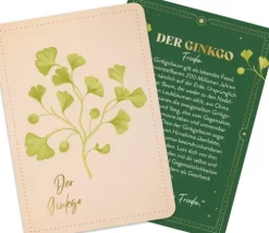 Groh Verlag Weisheiten-Orakelkarten: Die verborgene Kraft der Bäume