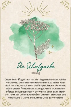 Edition Michael Fischer Füller & Tinte-Orakel-Karten-Box: Naturmomente für deine Seele: Nutze die Kraft der grünen Magie