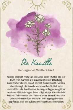 Edition Michael Fischer Füller & Tinte-Orakel-Karten-Box: Naturmomente für deine Seele: Nutze die Kraft der grünen Magie