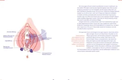 Orgasmic Woman*Eden Books New