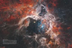 Gräfe und Unzer Edition Bildbände-ORIGINS