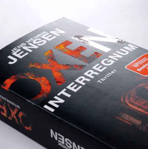 dtv Verlagsgesellschaft Thriller|Privatdetektive*Oxen. Interregnum